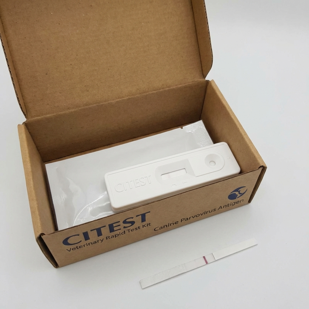 Rapid Test Panel Kit